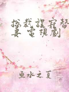 总裁误宠替身甜妻 电视剧