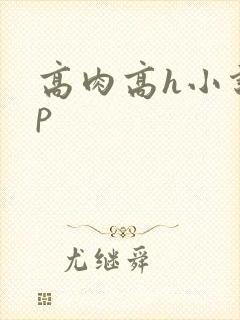 高肉高h小说np