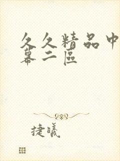 久久精品中文字幕二区