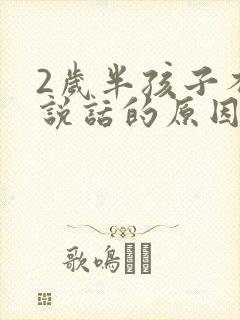 2岁半孩子不会说话的原因