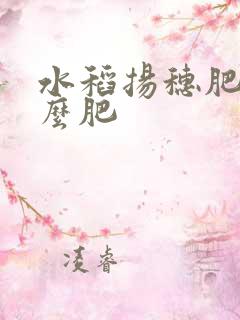 水稻扬穗肥用什么肥