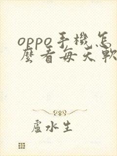 oppo手机怎么看每天软件使用时间