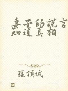 妻子的谎言一斌知道真相