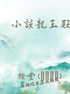 小说龙王殿小说