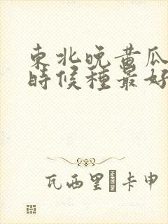 东北晚黄瓜什么时候种最好