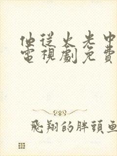 他从火光中走来电视剧免费播放
