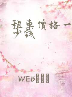租车价格一天多少钱