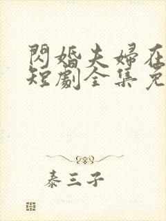 闪婚夫妇在八零短剧全集免费观看