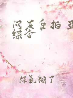 网友自拍 亚洲综合