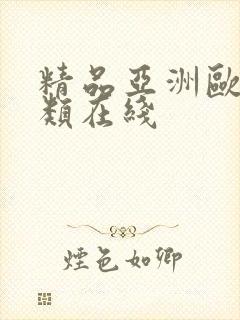 精品亚洲欧美另类在线