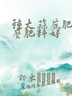 种大蒜底肥用什么肥料好