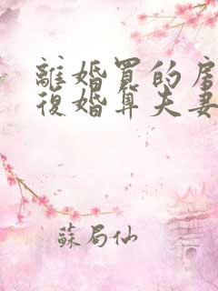 离婚买的房子又复婚算夫妻共同财产吗