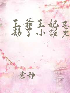 王爷王妃又去打劫了小说免费