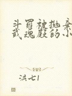 斗罗被抛弃加入武魂殿的小说