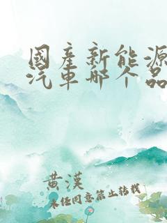 国产新能源电动汽车哪个品牌好