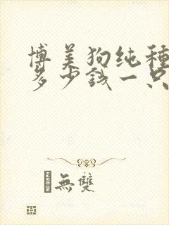 博美狗纯种大约多少钱一只