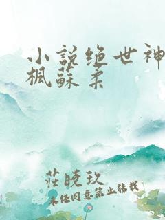 小说绝世神皇楚枫苏柔