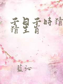 子日子时猜玄机猜生肖