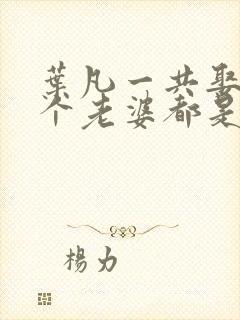 叶凡一共娶了几个老婆都是谁