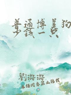 普通博美狗狗多少钱一只