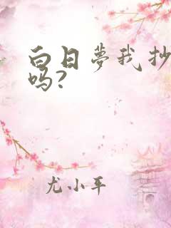 白日梦我抄袭了吗?