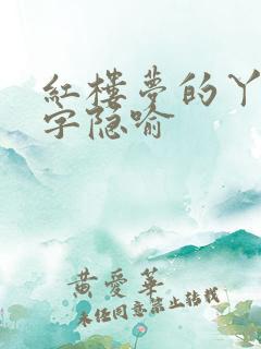 红楼梦的丫鬟名字隐喻