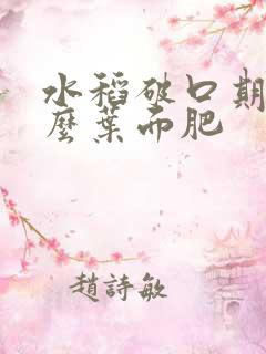 水稻破口期打什么叶面肥