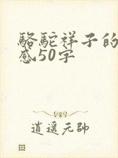 骆驼祥子的读后感50字