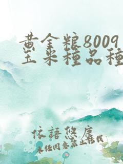 黄金粮8009玉米种品种简介