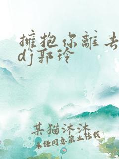 拥抱你离去原唱dj郭玲
