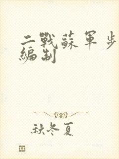 二战苏军步兵连编制