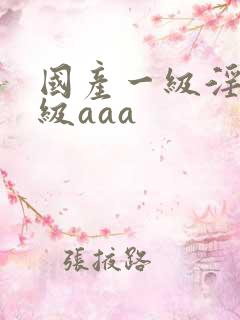 国产一级淫片a级aaa