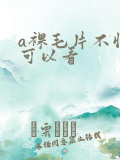 a裸毛片不收费可以看