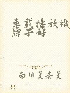 车载播放机哪个牌子好 车载播放机哪个牌子好