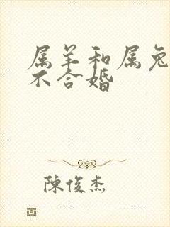 属羊和属兔的合不合婚