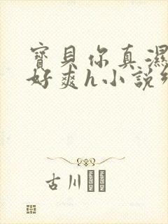 宝贝你真湿真紧好爽h小说乡村