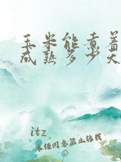 玉米能煮着吃到成熟多少天