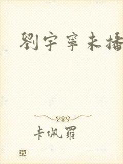 刘宇宁未播剧