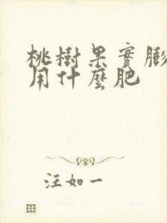 桃树果实膨大期用什么肥