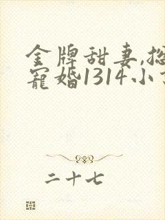 金牌甜妻,总裁宠婚1314小说