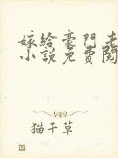 嫁给豪门老男人小说免费阅读全文