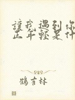 让我遇到你而你正年轻是什么歌