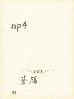 np4 np4
