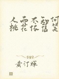 人面不知何处去桃花依旧笑春风含义