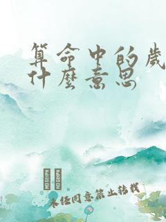 算命中的岁破是什么意思