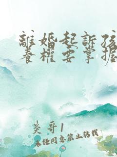 离婚起诉孩子抚养权要掌握哪些证据