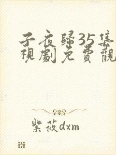 子夜归35集电视剧免费观看