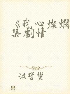 《我心灿烂》分集剧情