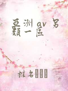 亚洲 av 另类一区