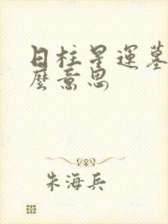 日柱星运墓是什么意思